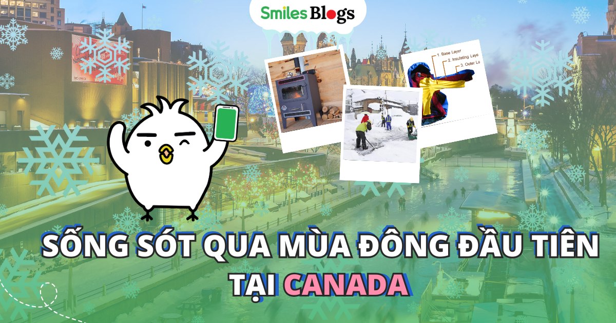 Cách Chọn Máy Sưởi Phù Hợp Để Sống Sót Qua Mùa Đông Lạnh Lẽo Ở Canada