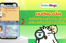 Hướng dẫn đổi bằng lái xe Việt Nam sang bằng lái xe Canada năm 2025