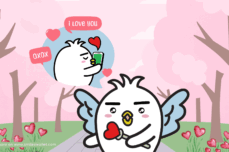 Top 5 Dating Apps in Canada