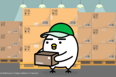 Cheapest Balikbayan Cargo Options in Canada