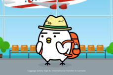 Luggage Safety Tips for International Traveler in Canada