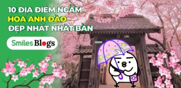 10 địa điểm ngắm hoa anh đào đẹp nhất Nhật Bản