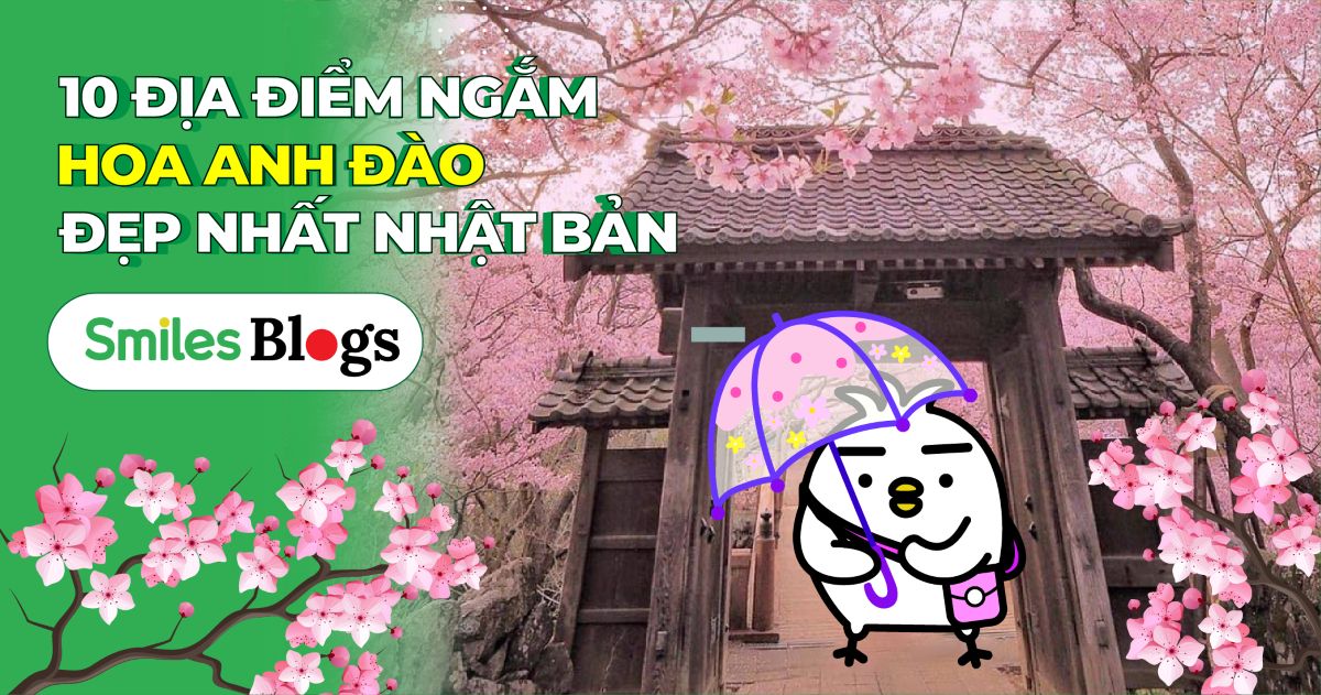 10 địa điểm ngắm hoa anh đào đẹp nhất Nhật Bản