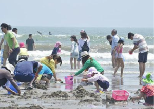 Bắt sò biển tại oarai sun