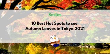 10 Best Hot Spots to See Autumn Leaves in Tokyo