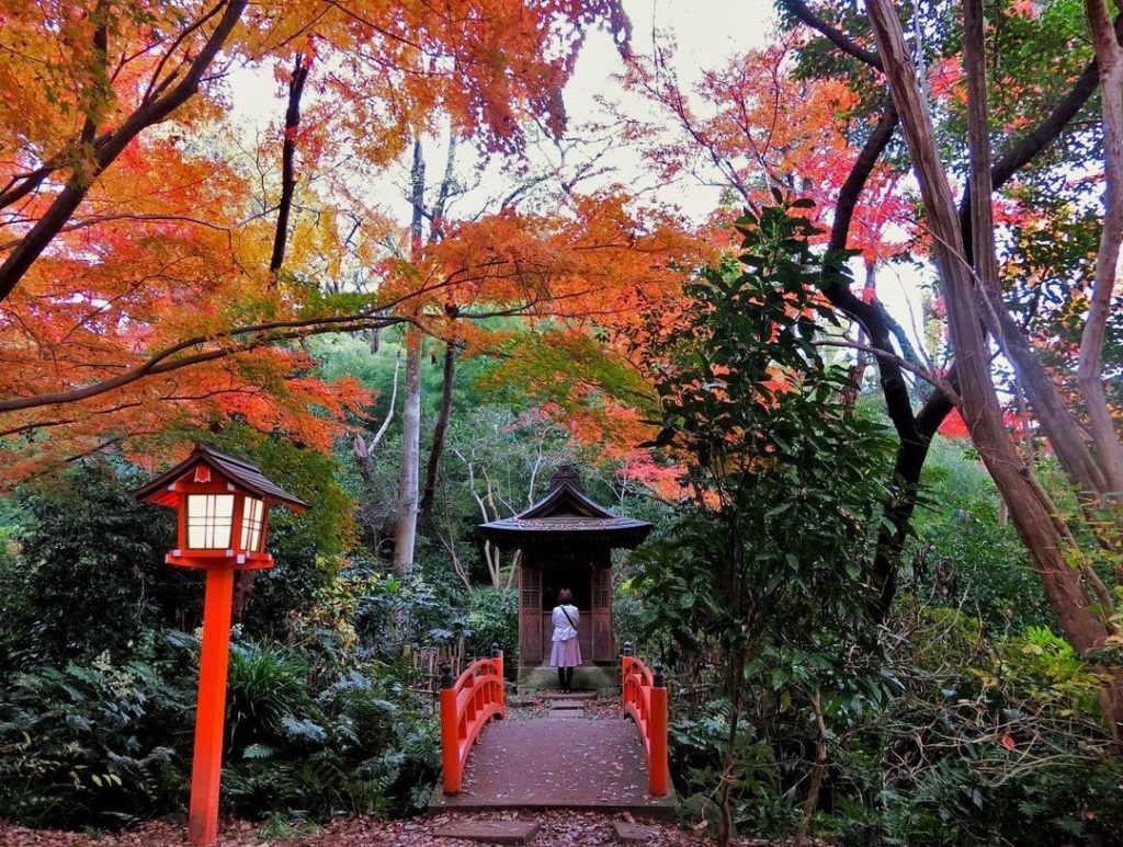10 Hot Spots to see Autumn Leaves in Kanto Area 2021 | Smiles Mobile ...