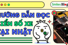 doc-vi-bien-so-xe-tai-nhat