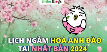 LỊCH NGẮM HOA ANH ĐÀO NHẬT BẢN 2024