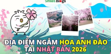 ngắm hoa anh đào 2026 13