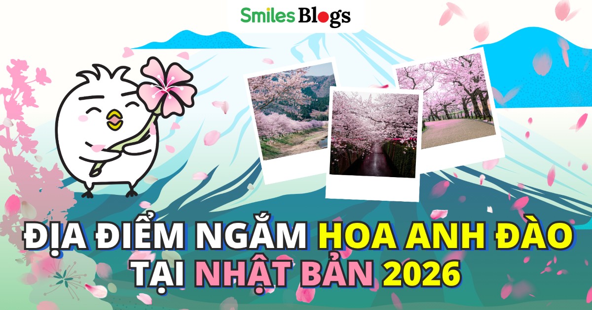 ngắm hoa anh đào 2026 13