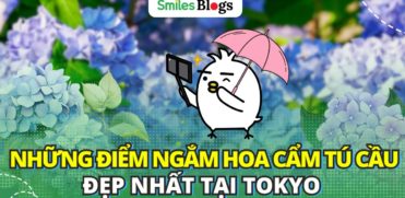 Những địa điểm ngắm hoa cẩm tú cầu không thể bỏ qua ở Tokyo