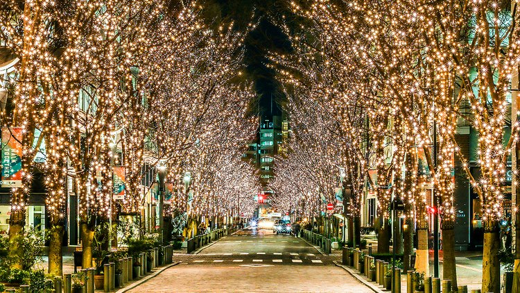 le hoi anh sang nhat ban 4