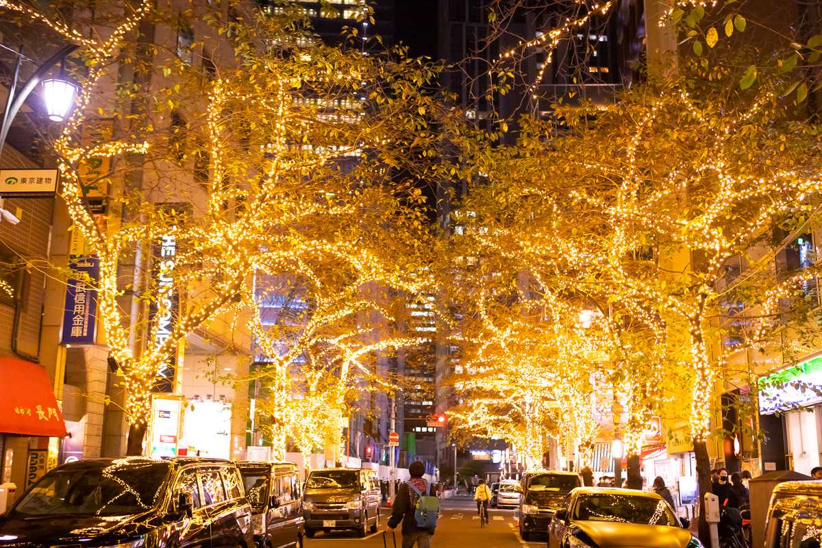 le hoi anh sang nhat ban 8