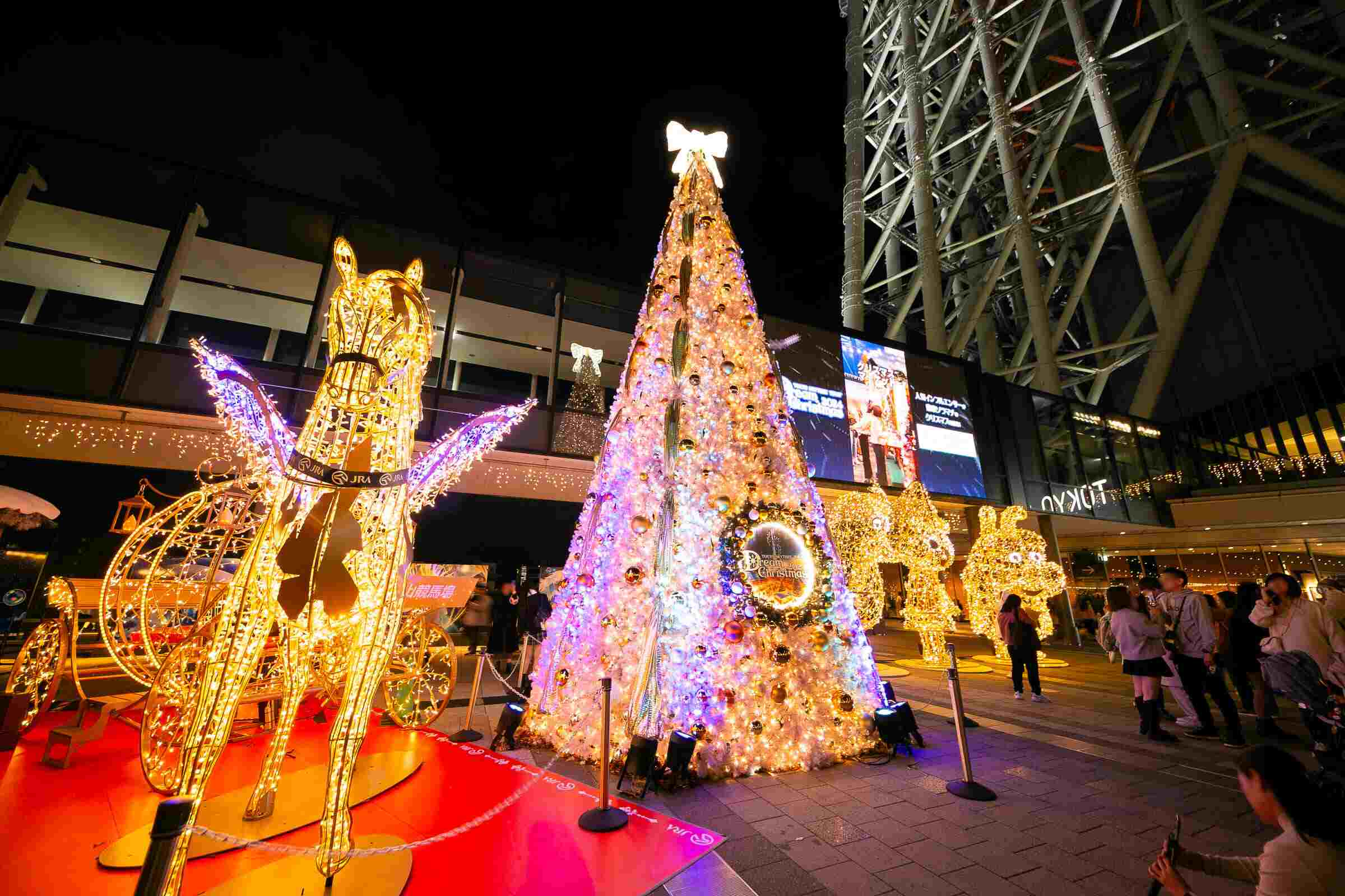 le hoi anh sang nhat ban 9