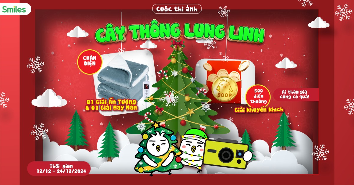 CUỘC THI ẢNH CÂY THÔNG LUNG LINH