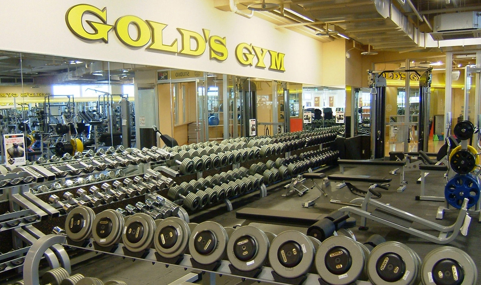 Golds gym jepang