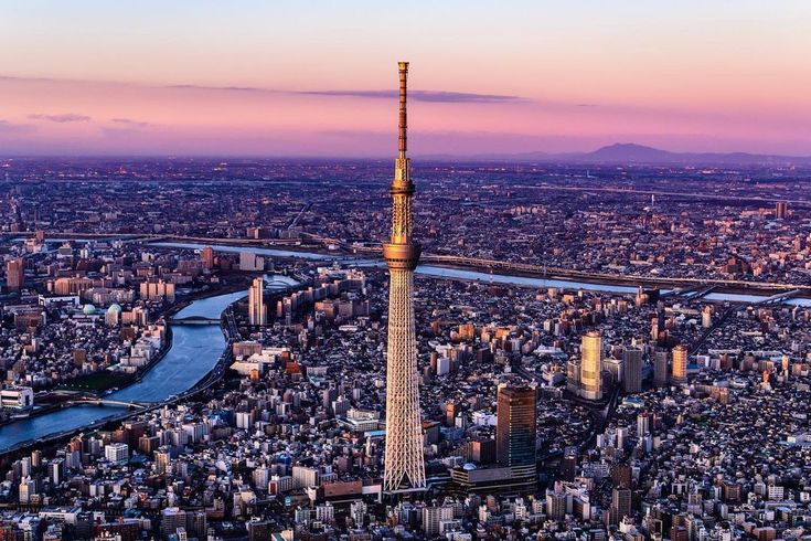 A view  of the Tokyo Skytree