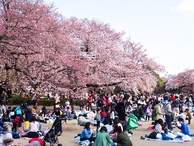 Hanami 