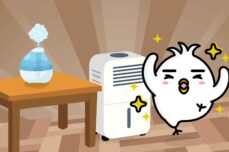 Humidifier dan Dehumidifier