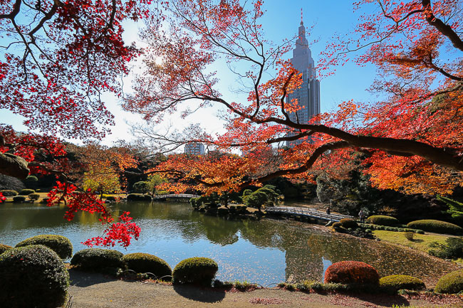 Shinjuku Gyoen National Park Musim Gugur