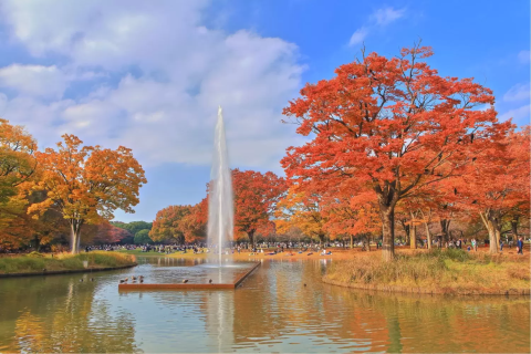 Yoyogi Park Musim Gugur