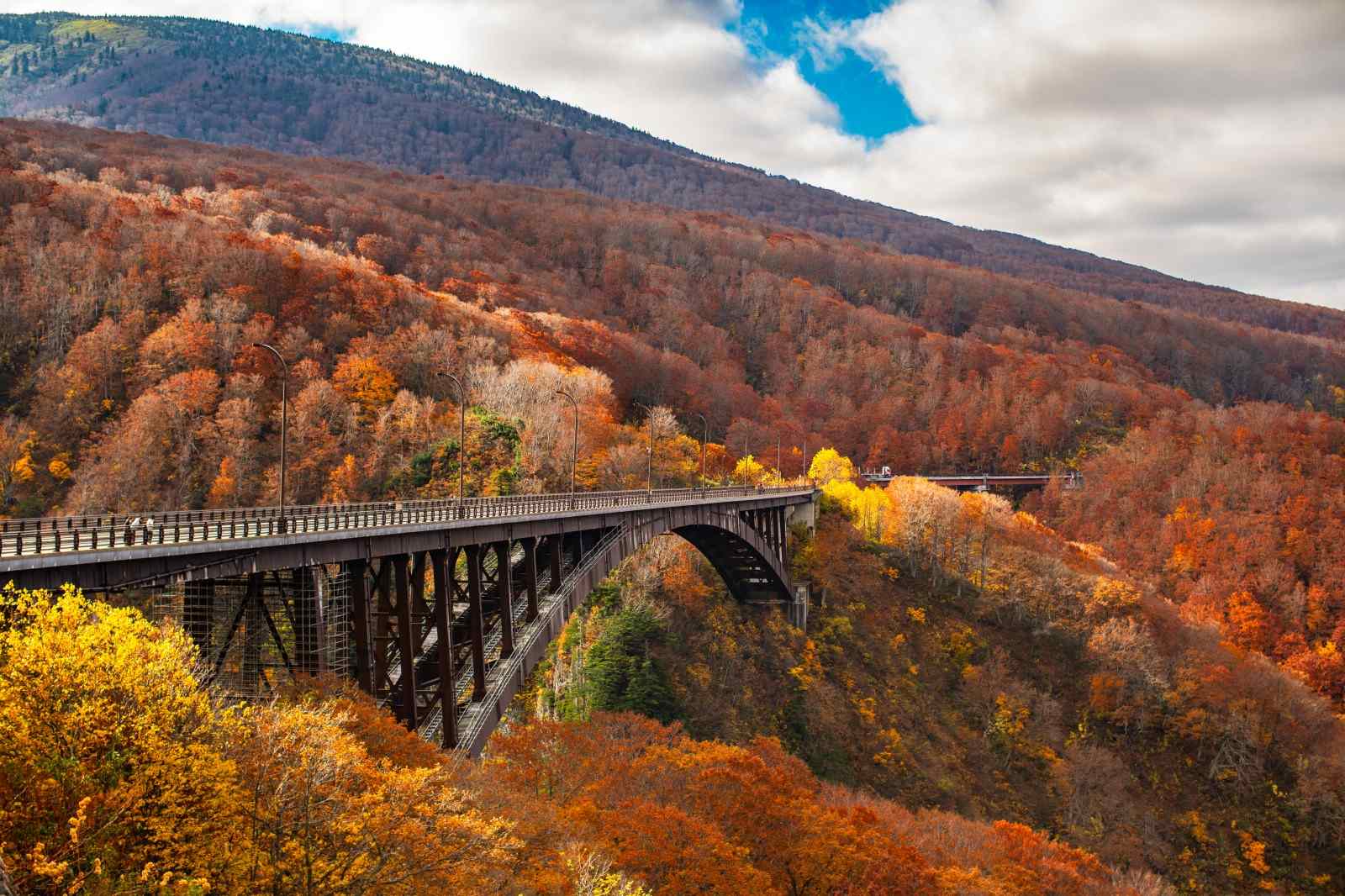 Aomori Địa điểm nhất định phải đến vào mùa thu tại Nhật 2