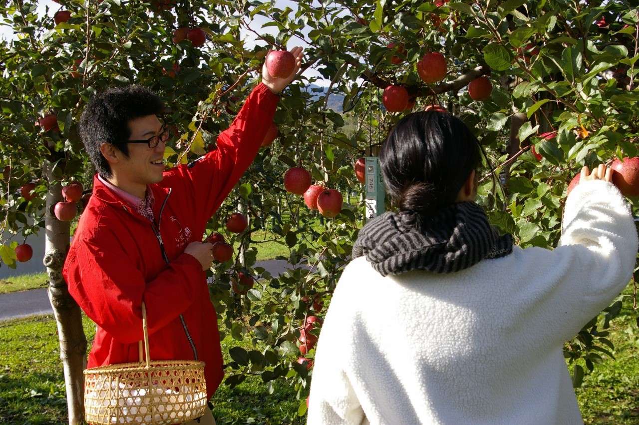 Aomori Địa điểm nhất định phải đến vào mùa thu tại Nhật 3