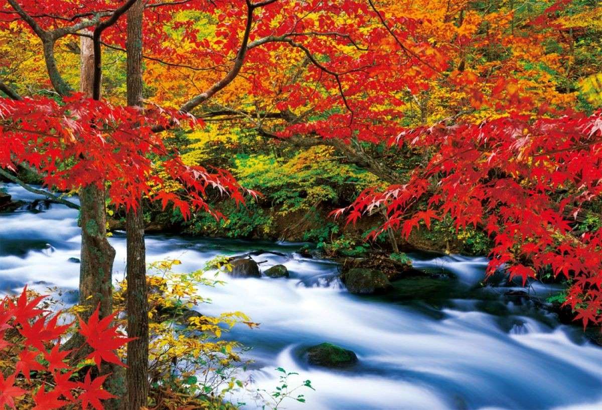 Aomori Địa điểm nhất định phải đến vào mùa thu tại Nhật 4