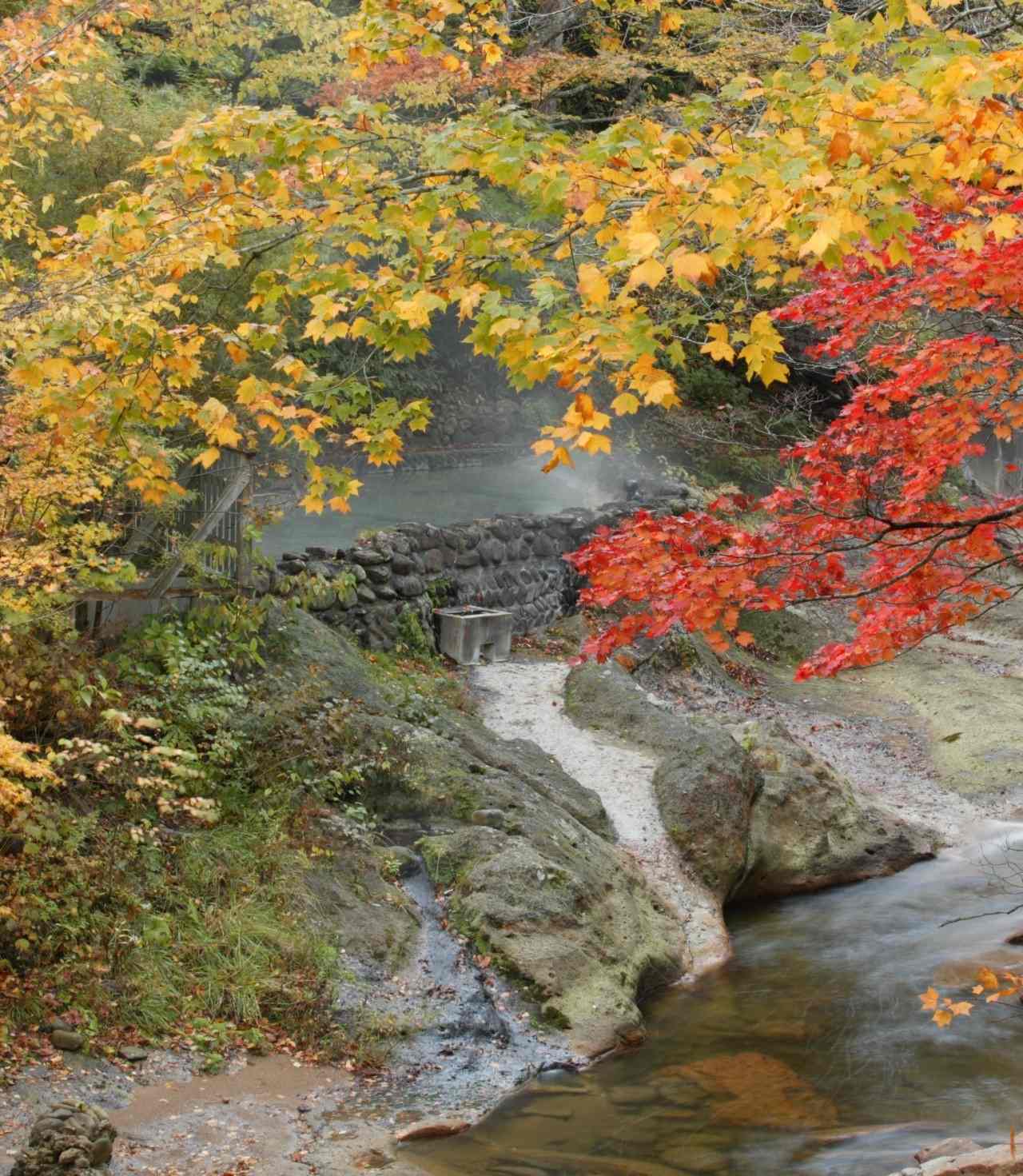Aomori Địa điểm nhất định phải đến vào mùa thu tại Nhật 5