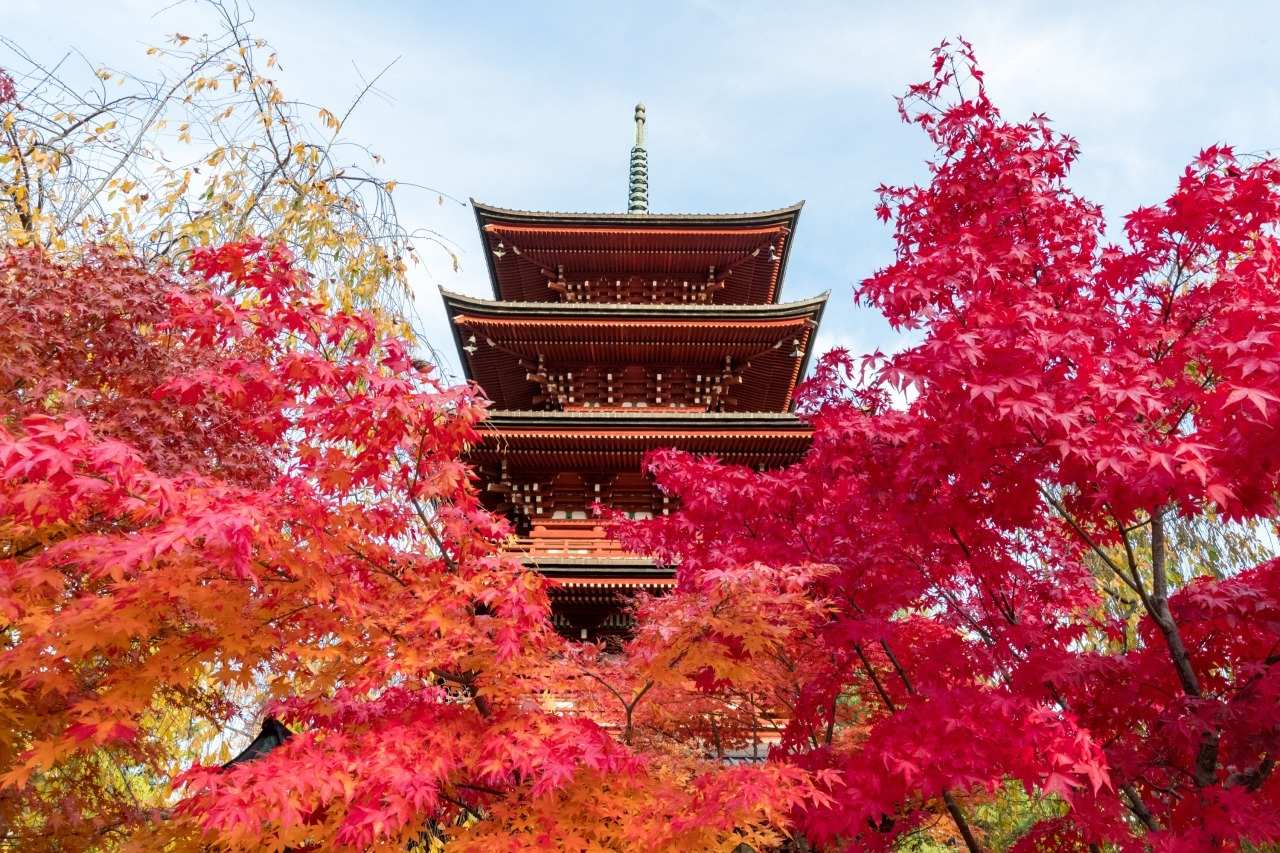 Aomori Địa điểm nhất định phải đến vào mùa thu tại Nhật