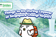 Things to Do During Layover at Singapore Changi Airport