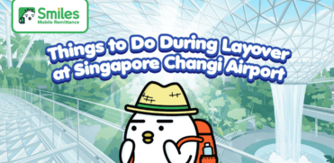 Things to Do During Layover at Singapore Changi Airport