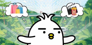 changi airport activity