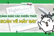 lua dao ve may bay my ve vietnam (2)