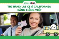 Thi Bằng Lái Xe Ở California Bằng Tiếng Việt