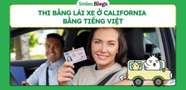 Thi Bằng Lái Xe Ở California Bằng Tiếng Việt