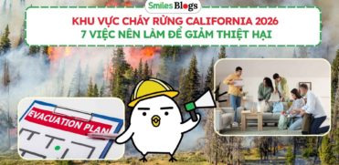 Khu Vực Cháy Rừng California 2026 7 Việc Nên Làm Để Giảm Thiệt Hại