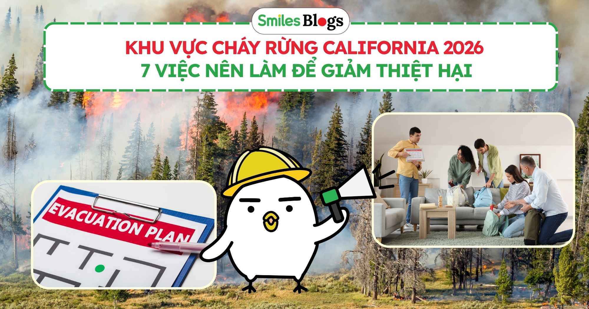 Khu Vực Cháy Rừng California 2026 7 Việc Nên Làm Để Giảm Thiệt Hại