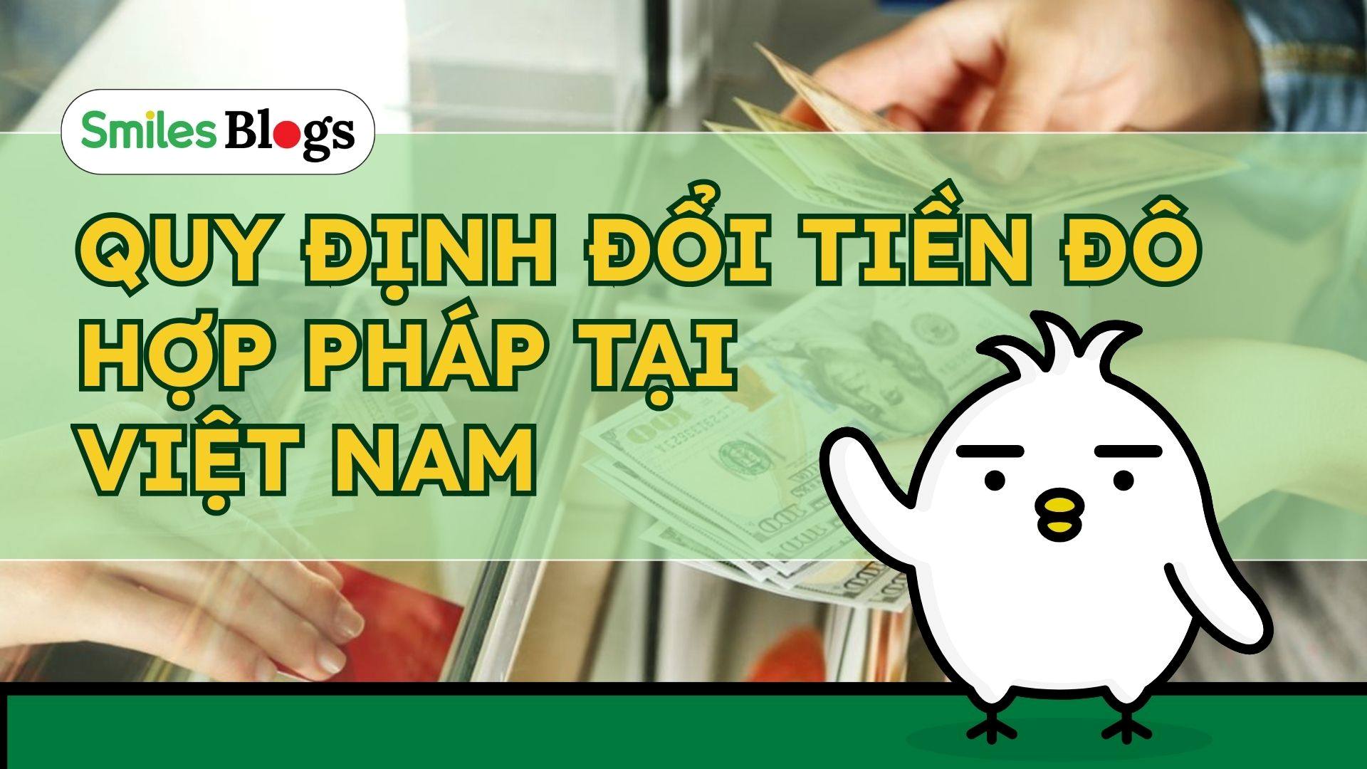 Quy Định Đổi Tiền Đô Hợp Pháp Tại Việt Nam (2)